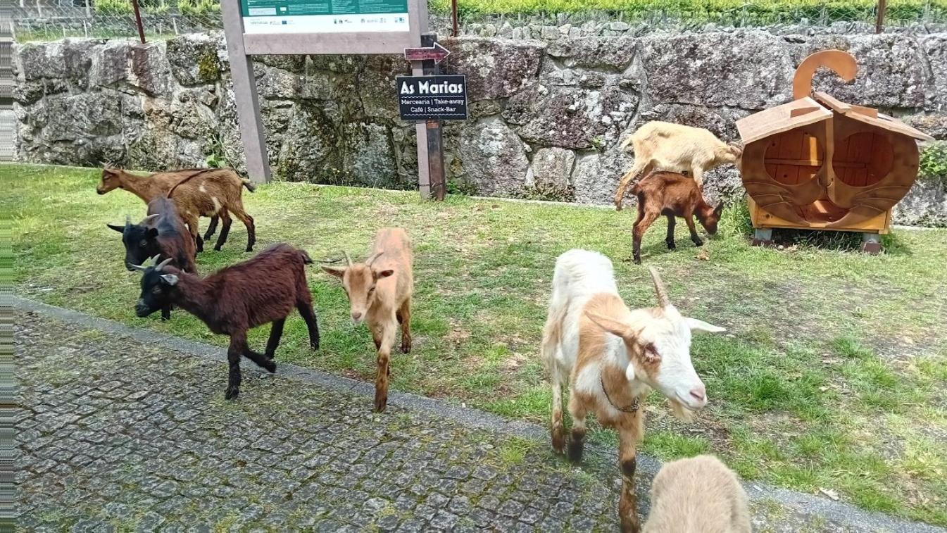 Chalet Do Soajo Arcos de Valdevez Eksteriør billede
